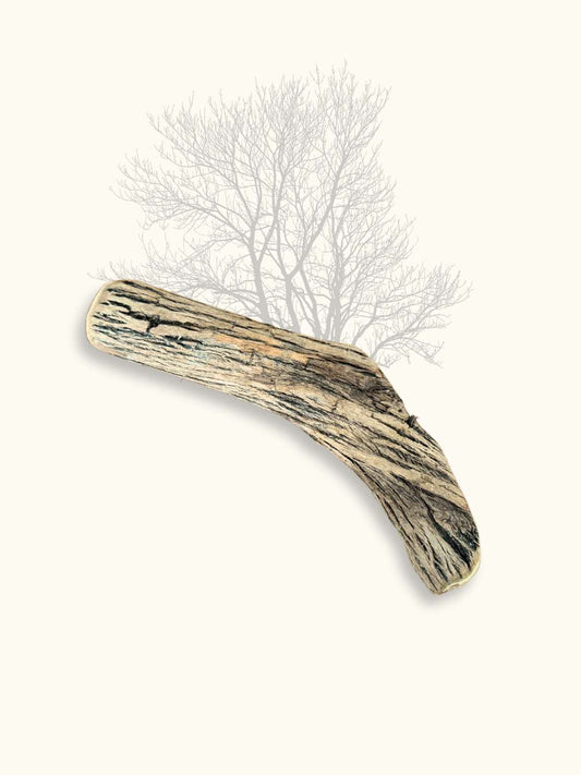 Bois de Sekelbos