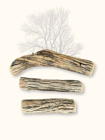 Bois de Sekelbos