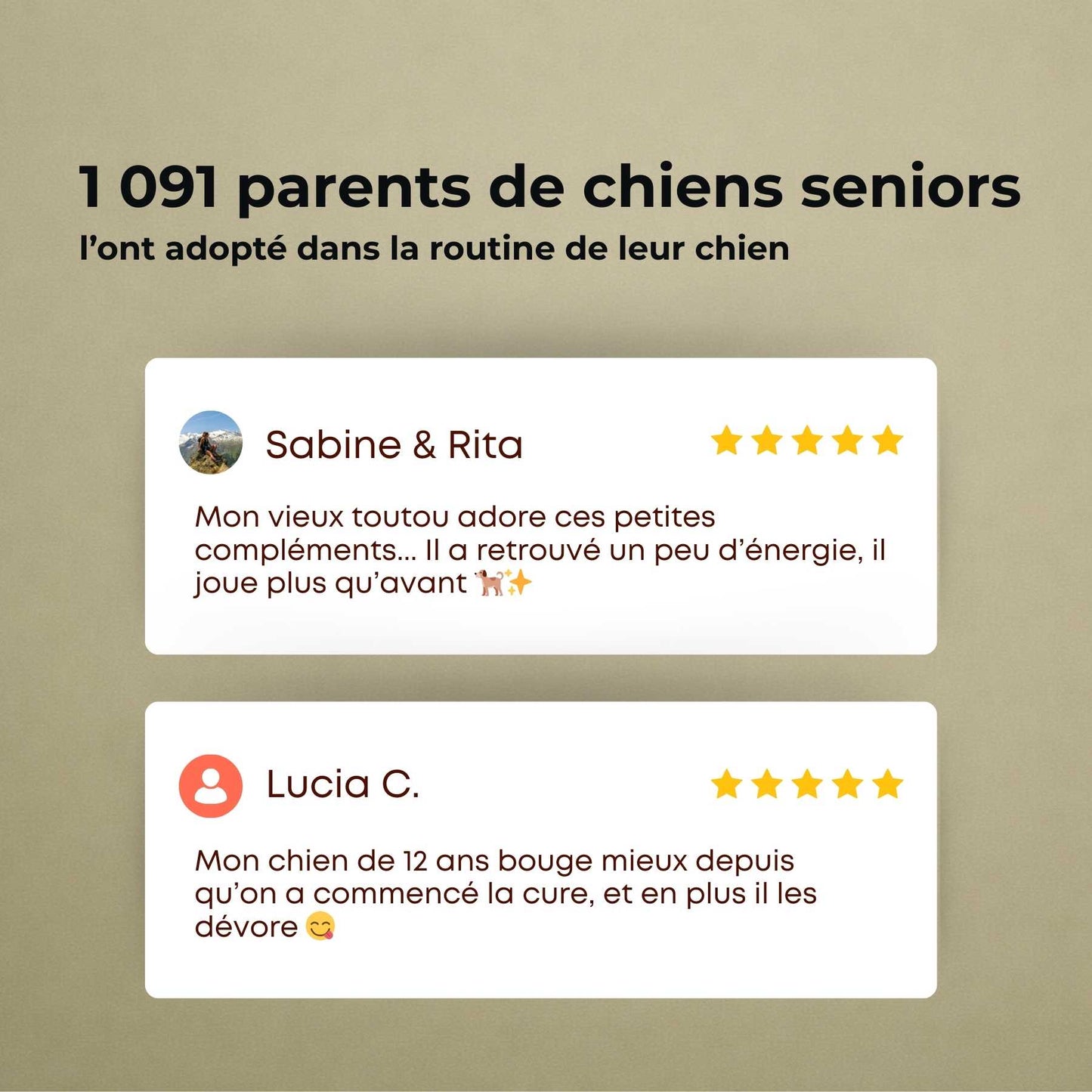 Complément vieillesse chien
