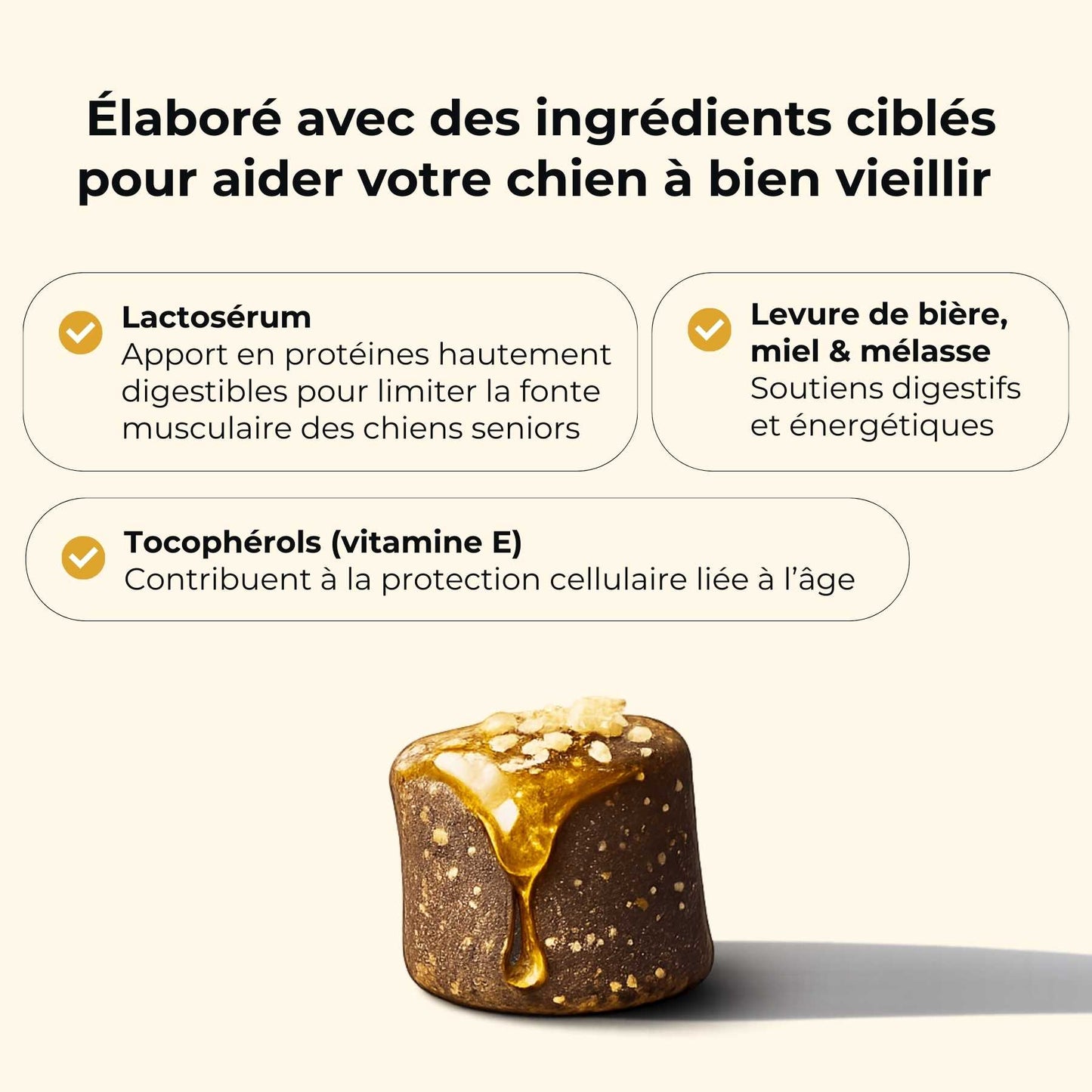 Complément vieillesse chien