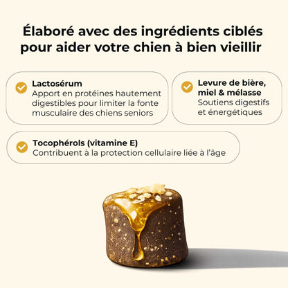 Complément vieillesse chien