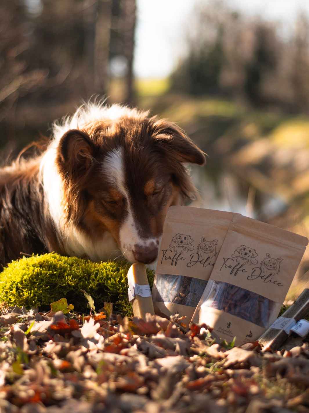Friandises de poulet - #friandise_naturelle_pour_chien# - Truffe delice