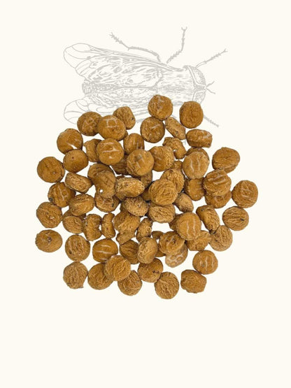 Friandises mouche soldat noire & pomme - #friandise_naturelle_pour_chien# - Truffe delice
