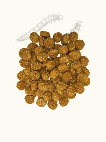 Friandises vers de farine & citrouille - #friandise_naturelle_pour_chien# - Truffe delice