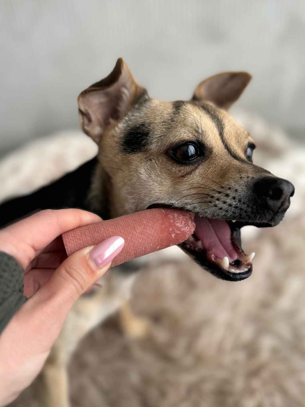 Fromage de yak - #friandise_naturelle_pour_chien# - Truffe delice