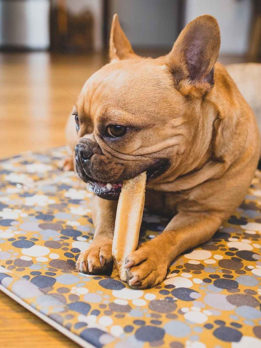 Fromage de yak - #friandise_naturelle_pour_chien# - Truffe delice