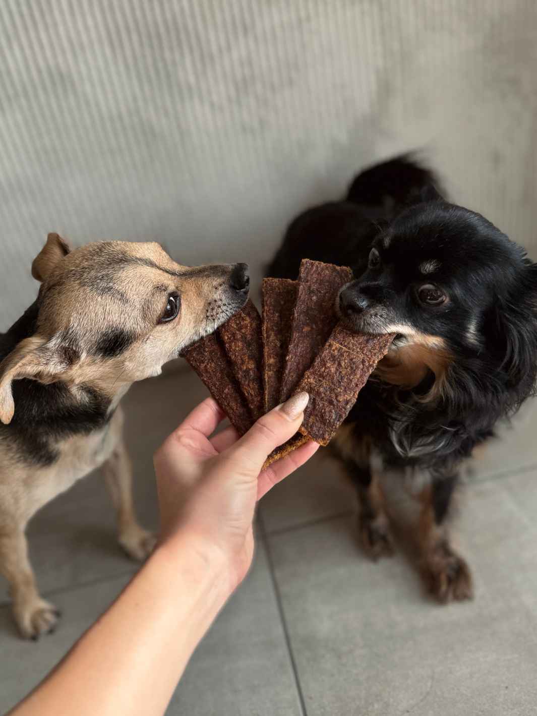 Lamelles de sanglier - #friandise_naturelle_pour_chien# - Truffe delice
