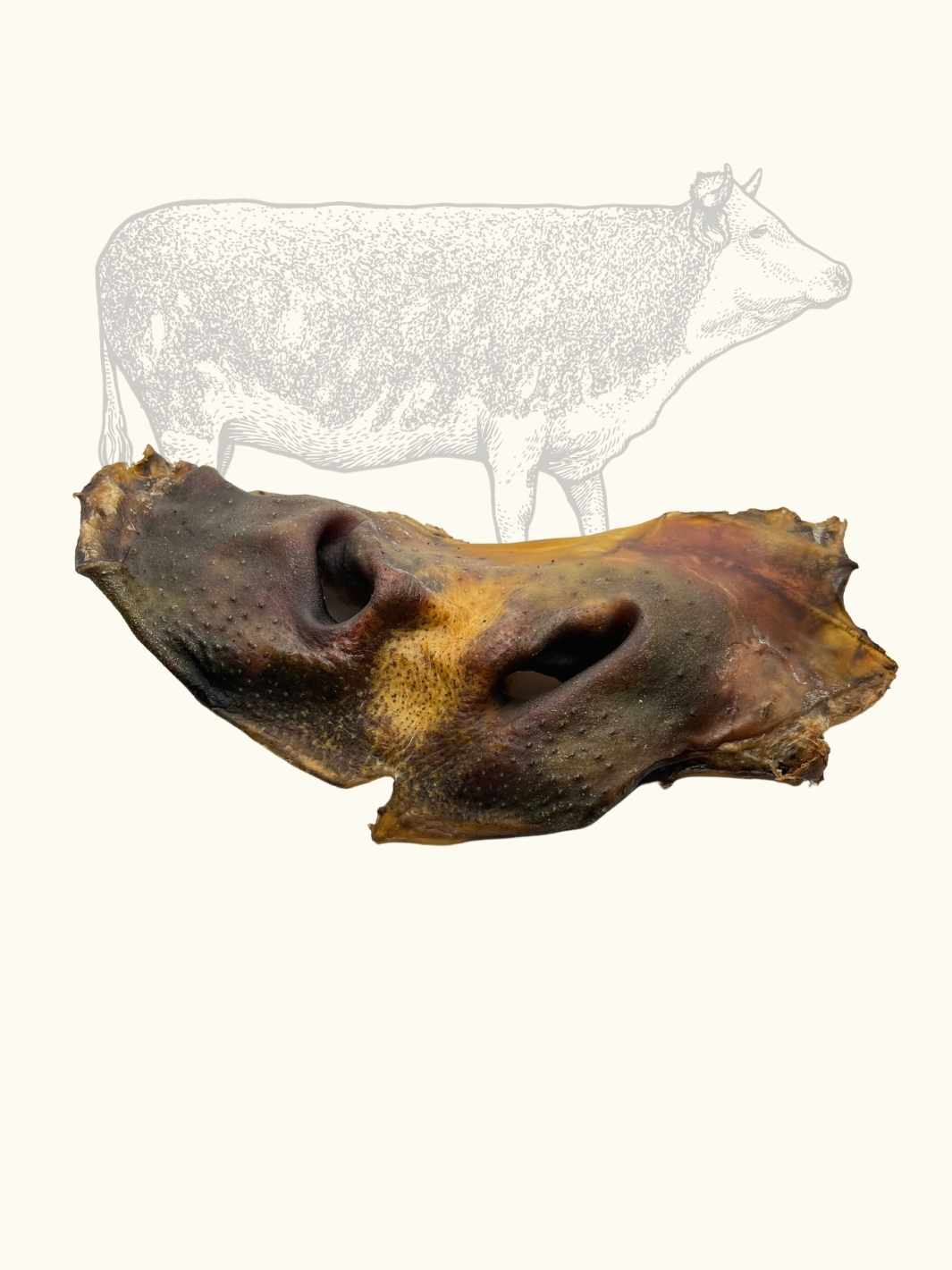 Museaux de bœuf - #friandise_naturelle_pour_chien# - Truffe delice