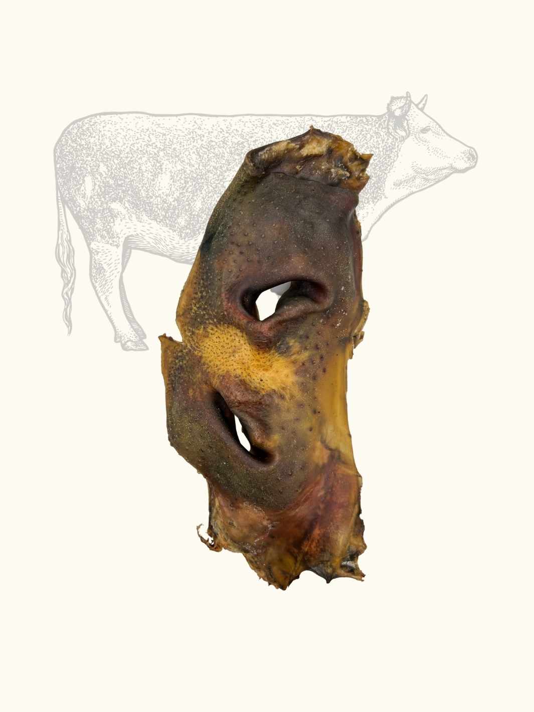 Museaux de bœuf - #friandise_naturelle_pour_chien# - Truffe delice