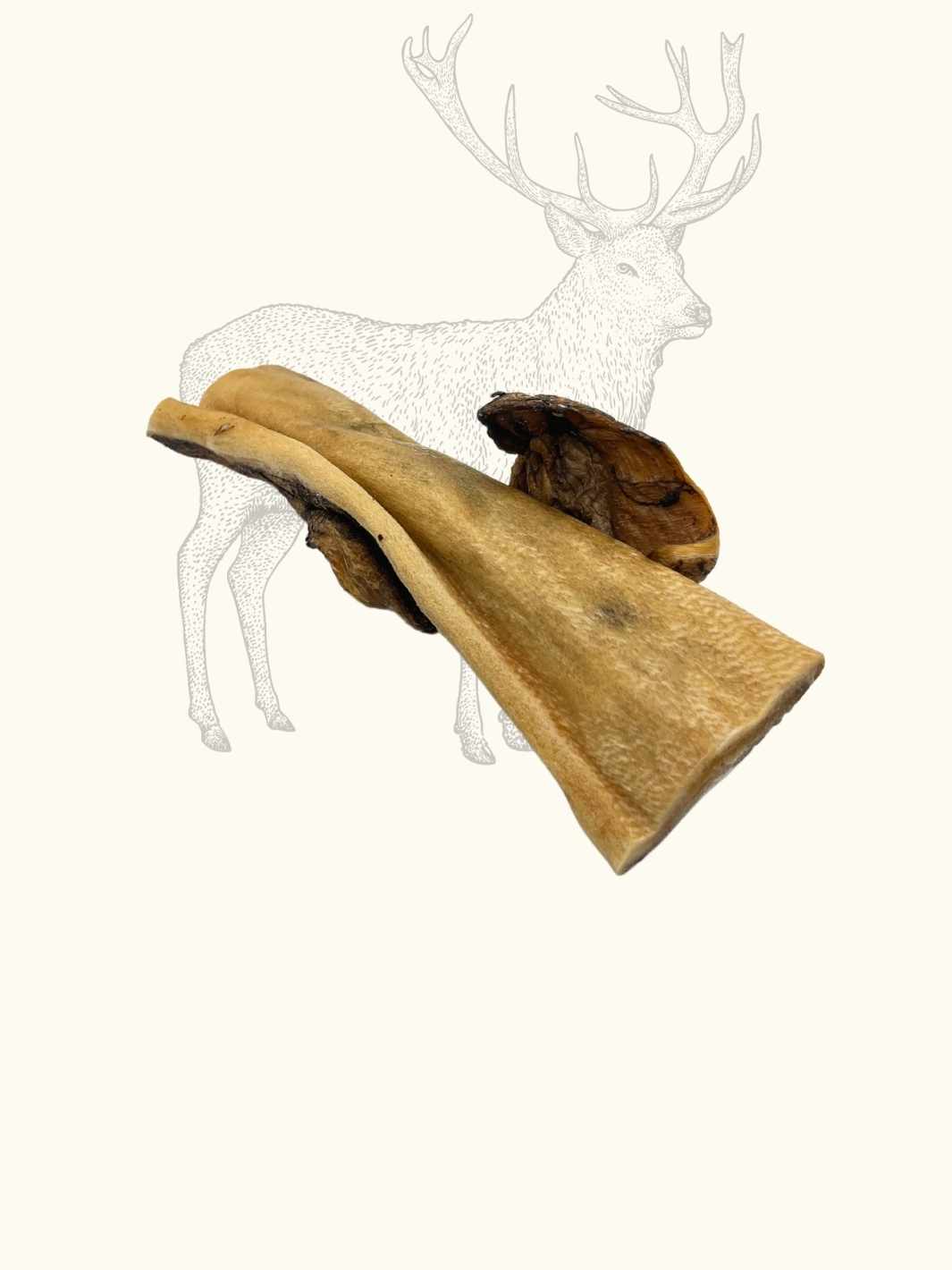 Peaux de cerf 15cm - #friandise_naturelle_pour_chien# - Truffe delice
