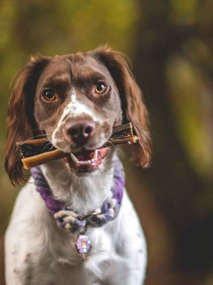 Peaux de cerf 15cm - #friandise_naturelle_pour_chien# - Truffe delice