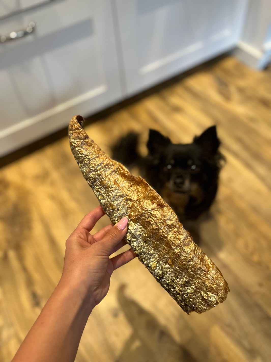 Peaux de saumon à la chair fondante - #friandise_naturelle_pour_chien# - Truffe delice