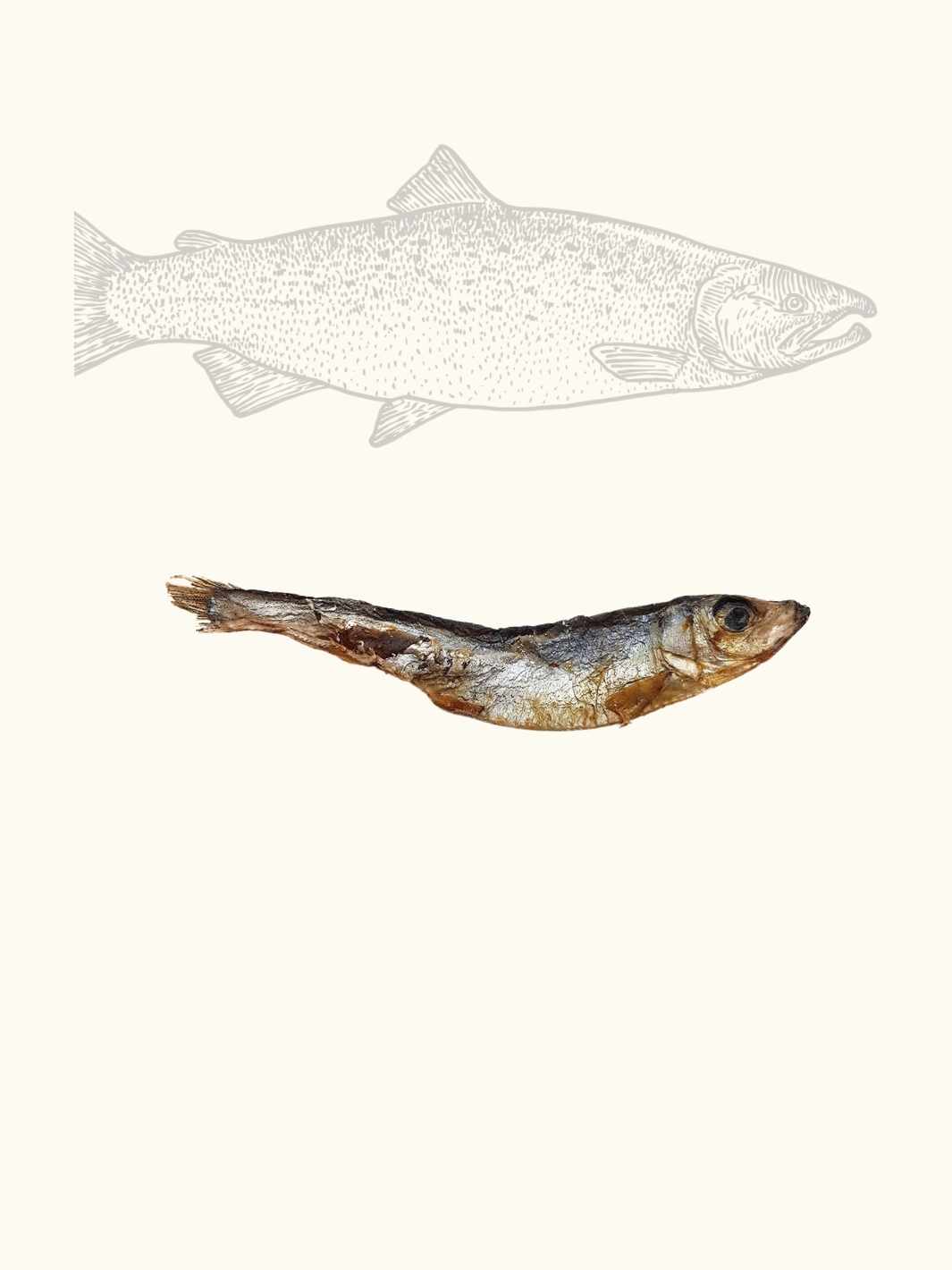 Poisson Séché pour chien - #friandise_naturelle_pour_chien# - Truffe delice