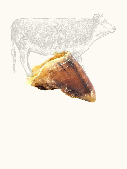 Sabot de bœuf - #friandise_naturelle_pour_chien# - Truffe delice