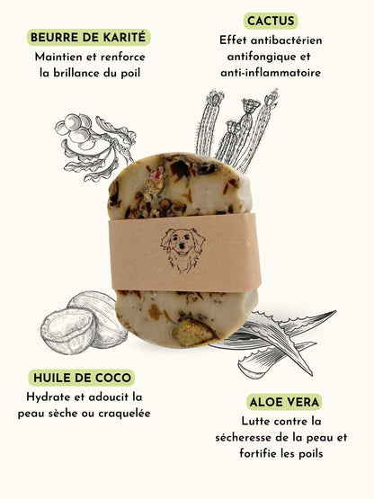 Shampoing peau sensible chien - #friandise_naturelle_pour_chien# - Truffe delice