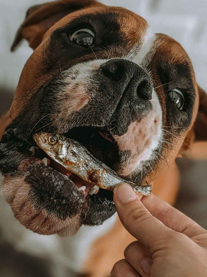 Sprats - #friandise_naturelle_pour_chien# - Truffe delice
